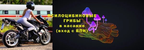 дживик Богородицк
