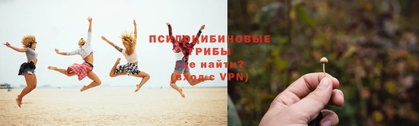 крисы Армянск