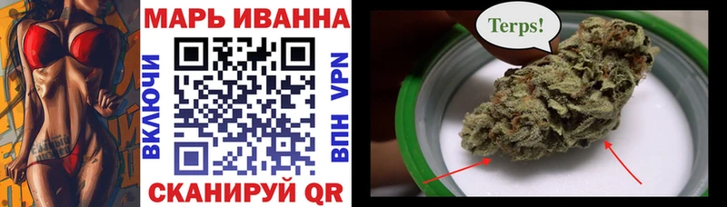 Каннабис планчик  где купить наркоту  Полтавская 